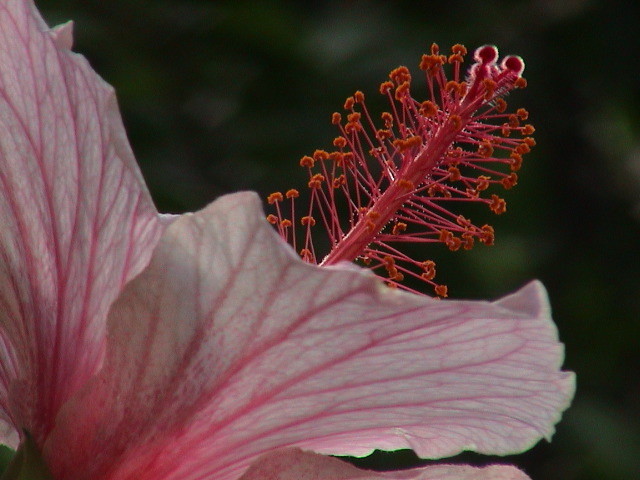 DSC00069