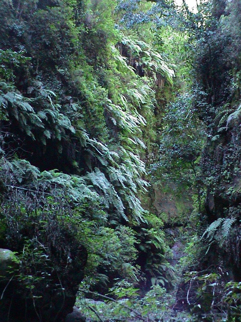 DSC00101