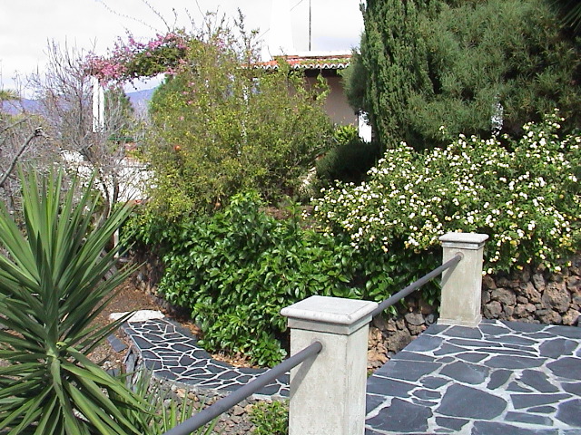 DSC00114