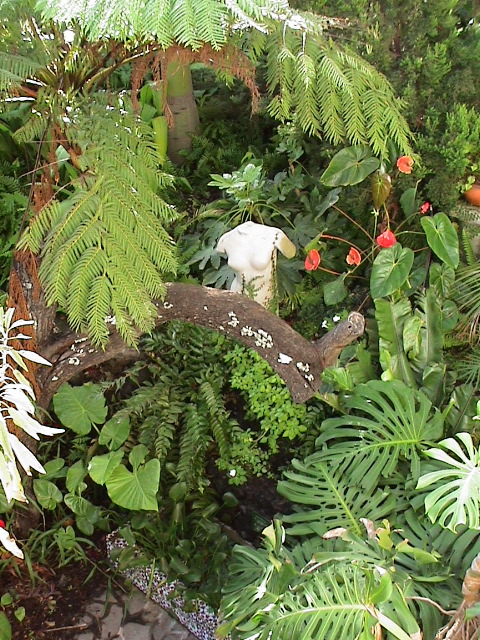 DSC00012
