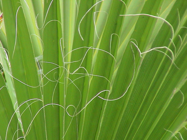 DSC00127