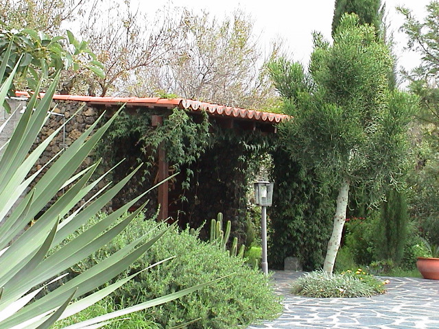 DSC00139