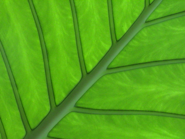 DSC00141