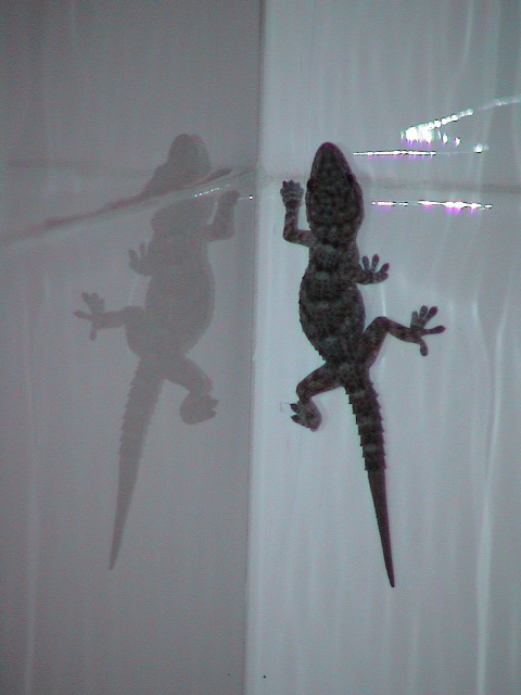 DSC00148