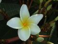 DSC00051