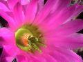DSC00061