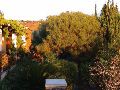 DSC00080