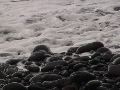 DSC00118