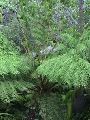 DSC00120