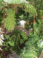 DSC00012